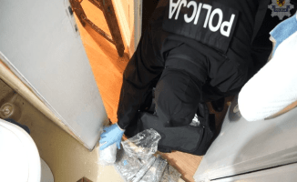 Antyterroryści zlikwidowali plantację konopi [VIDEO]