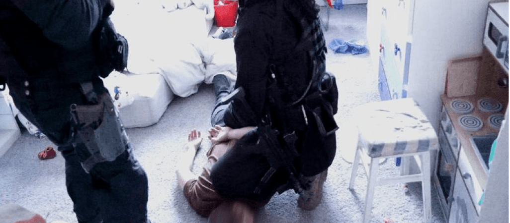 Antyterroryści zlikwidowali plantację konopi [VIDEO]