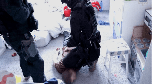 Antyterroryści zlikwidowali plantację konopi [VIDEO] - grafika