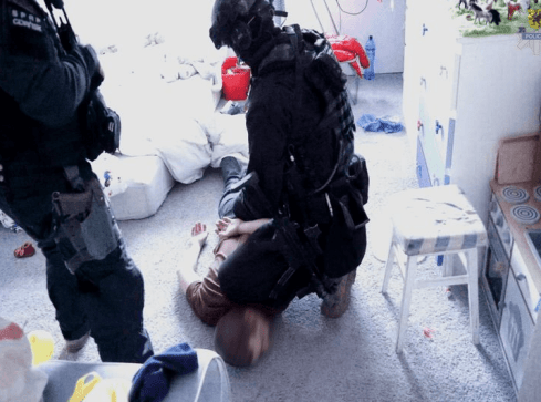 Antyterroryści zlikwidowali plantację konopi [VIDEO] - grafika