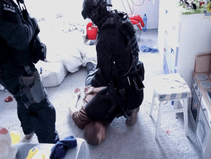 Antyterroryści zlikwidowali plantację konopi [VIDEO] - grafika