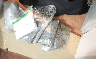 Antyterroryści zlikwidowali plantację konopi [VIDEO]