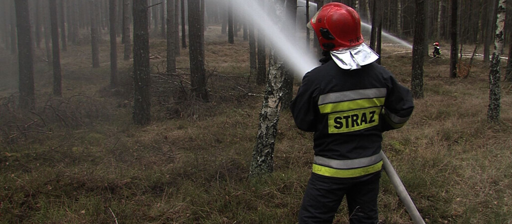 Strażacy ćwiczyli techniki gaszenia pożarów