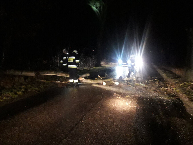 Powalone drzewa, przewrócony billboard - grafika