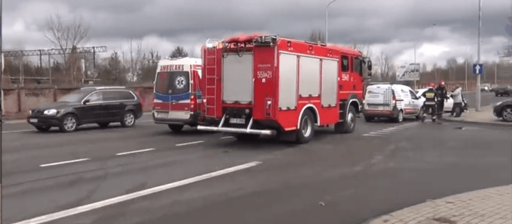 Oswojona żubrzyca wita się z leśnikiem [VIDEO]