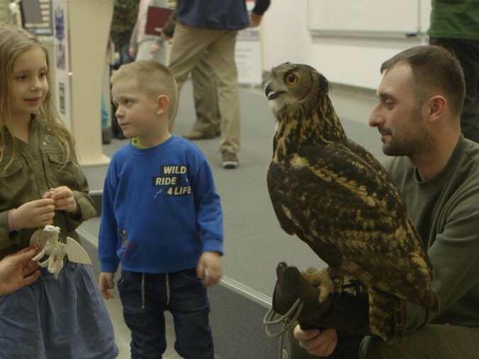 Jak wygląda las nocą? Czy jest ciekawy? - grafika