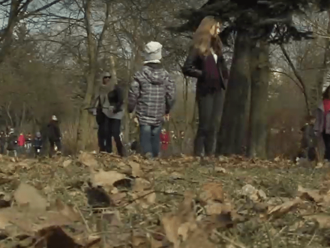 W niedzielę wielkanocne szukanie jajek na Wyspie - grafika