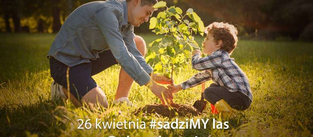 Sadzimy las. Akcja rusza już w piątek