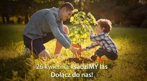 Sadzimy las. Akcja rusza już w piątek - grafika