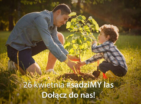Sadzimy las. Akcja rusza już w piątek - grafika