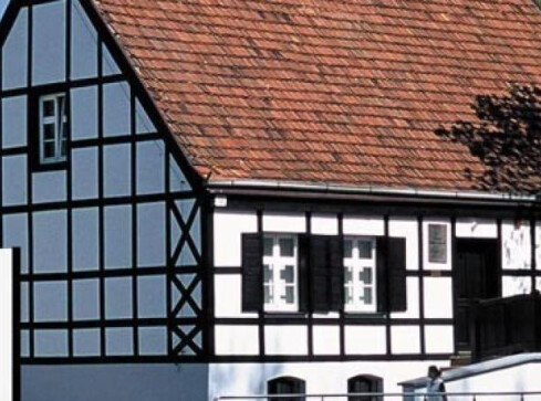 Muzeum wraca do życia - grafika