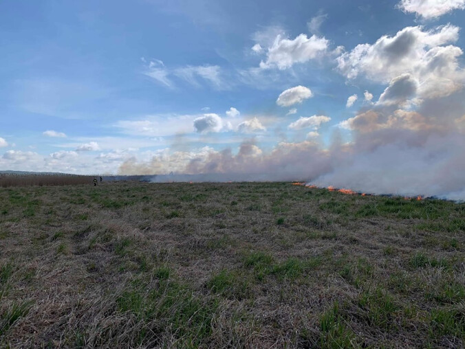 Płoną łąki nadnoteckie - grafika