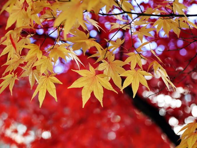 Dziś w nocy zmiana czasu z letniego na zimowy  - grafika