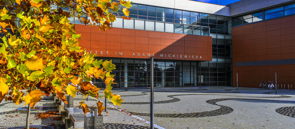 Pedagogika hydrauliczna czy edukacja kompetencyjna? 