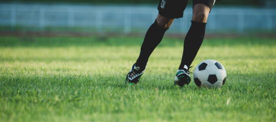 Przejdź do artykułu na Asta24.