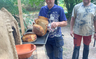 Las korzyści ekologiczno–obywatelskich