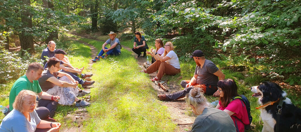 Las korzyści ekologiczno–obywatelskich