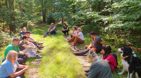 Las korzyści ekologiczno–obywatelskich - grafika