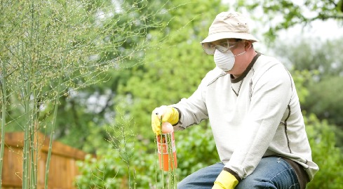 Wczesnowiosenne ograniczanie presji szkodników - mechanizmy działani - grafika