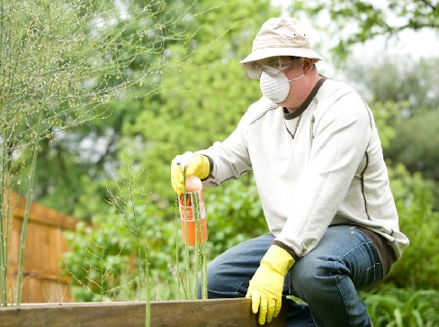 Wczesnowiosenne ograniczanie presji szkodników - mechanizmy działani - grafika