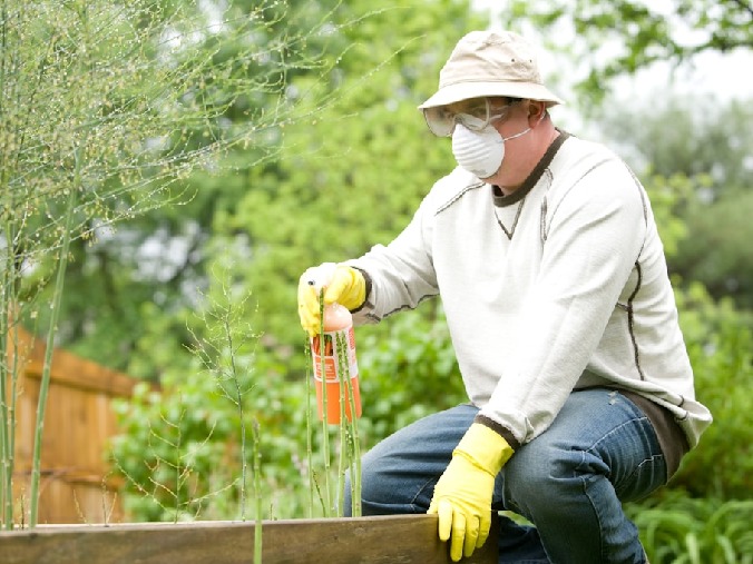 Wczesnowiosenne ograniczanie presji szkodników - mechanizmy działani - grafika