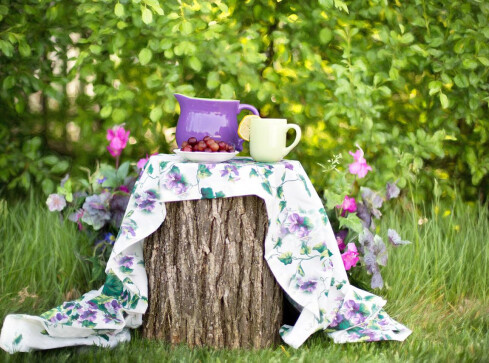 Ogród latem - co powinno się w nim znaleźć? - grafika