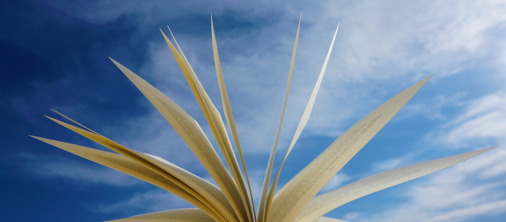 Model subsydiowany - czym się różni od innych modeli wydawniczych?