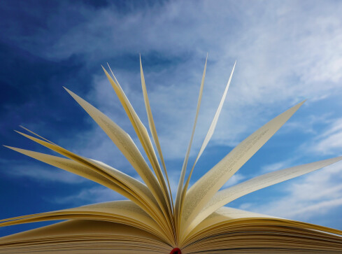 Model subsydiowany - czym się różni od innych modeli wydawniczych? - grafika