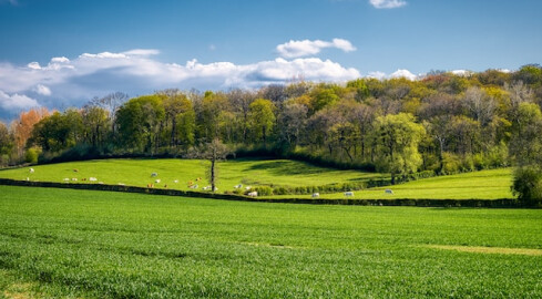 4 ciekawe kierunki na zagraniczny wyjazd własnym samochodem - grafika