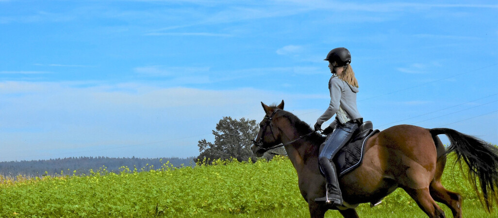 Dlaczego jeździectwo cieszy się popularnością?