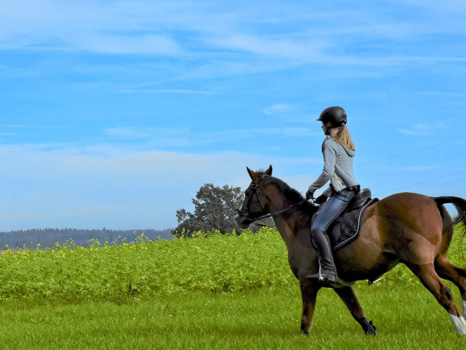 Dlaczego jeździectwo cieszy się popularnością? - grafika