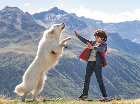 Gorący filmowy listopad w kinach Helios   - grafika