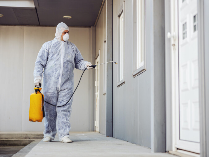 Rzetelne usługi DDD w 2024 roku: co je wyróżnia? - grafika