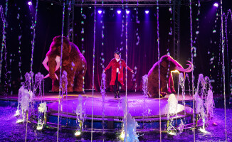 Niezwykłe widowisko - Cyrk na wodzie Imperial Show