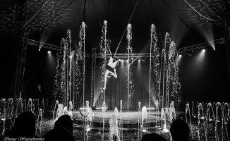 Niezwykłe widowisko - Cyrk na wodzie Imperial Show