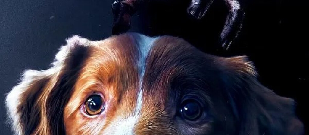 Filmowa jesień w kinach Helios