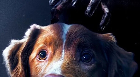 Filmowa jesień w kinach Helios - grafika