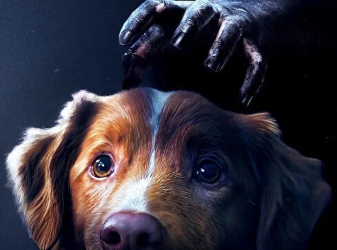 Filmowa jesień w kinach Helios - grafika