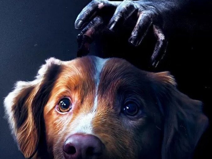 Filmowa jesień w kinach Helios - grafika