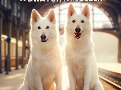 Sierpniowy repertuar kin Helios - grafika