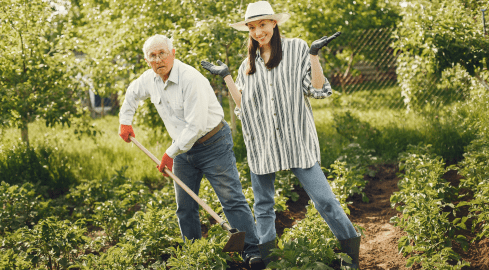 Masz ogródek działkowy? Weź udział w programie! - grafika