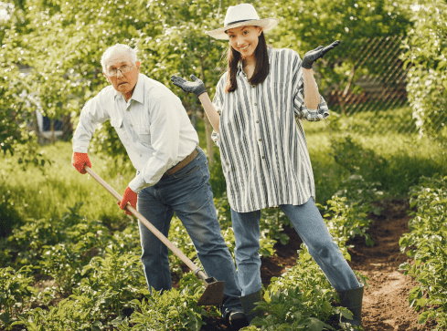 Masz ogródek działkowy? Weź udział w programie! - grafika