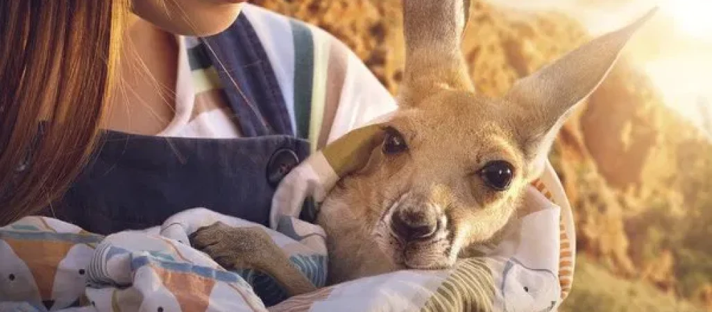 Helios prezentuje najnowszy repertuar i zaprasza na Święto Kina!