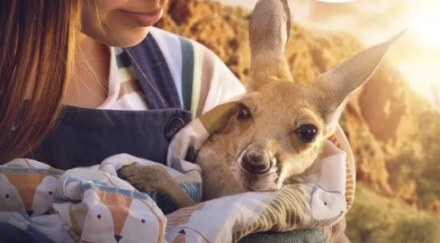 Helios prezentuje najnowszy repertuar i zaprasza na Święto Kina! - grafika