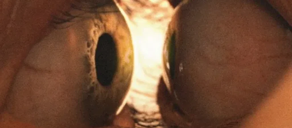 Filmowy koniec wakacji w kinach Helios