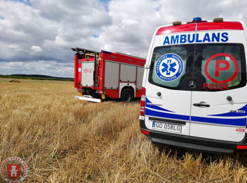 Śmierć na polu - grafika