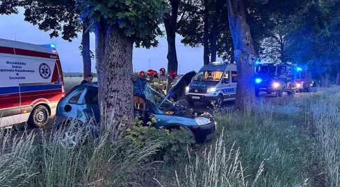 Śmiertelny wypadek. Osobówka uderzyła w drzewo - grafika