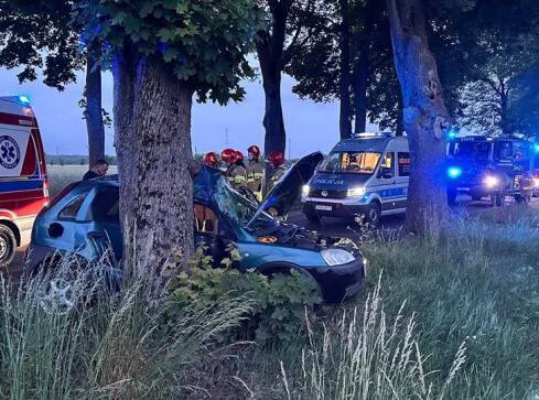 Śmiertelny wypadek. Osobówka uderzyła w drzewo - grafika