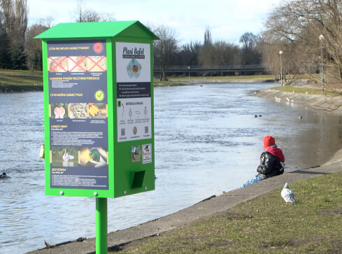 Kaczkomaty stanęły w Pile - grafika