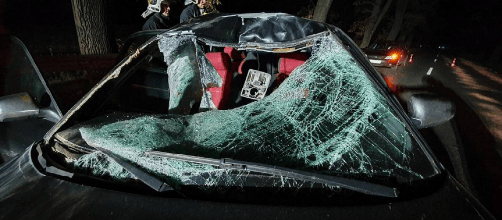 Zderzenie osobówki z jeleniem 